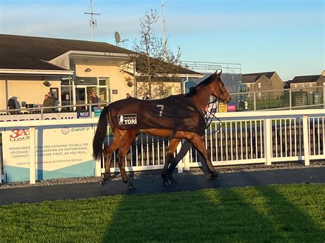 Friday 1St November 2024 Richard Phillips Racing Animalonly Com Friday 1St November 2024 Richard Phillips Racing Animalonly Com