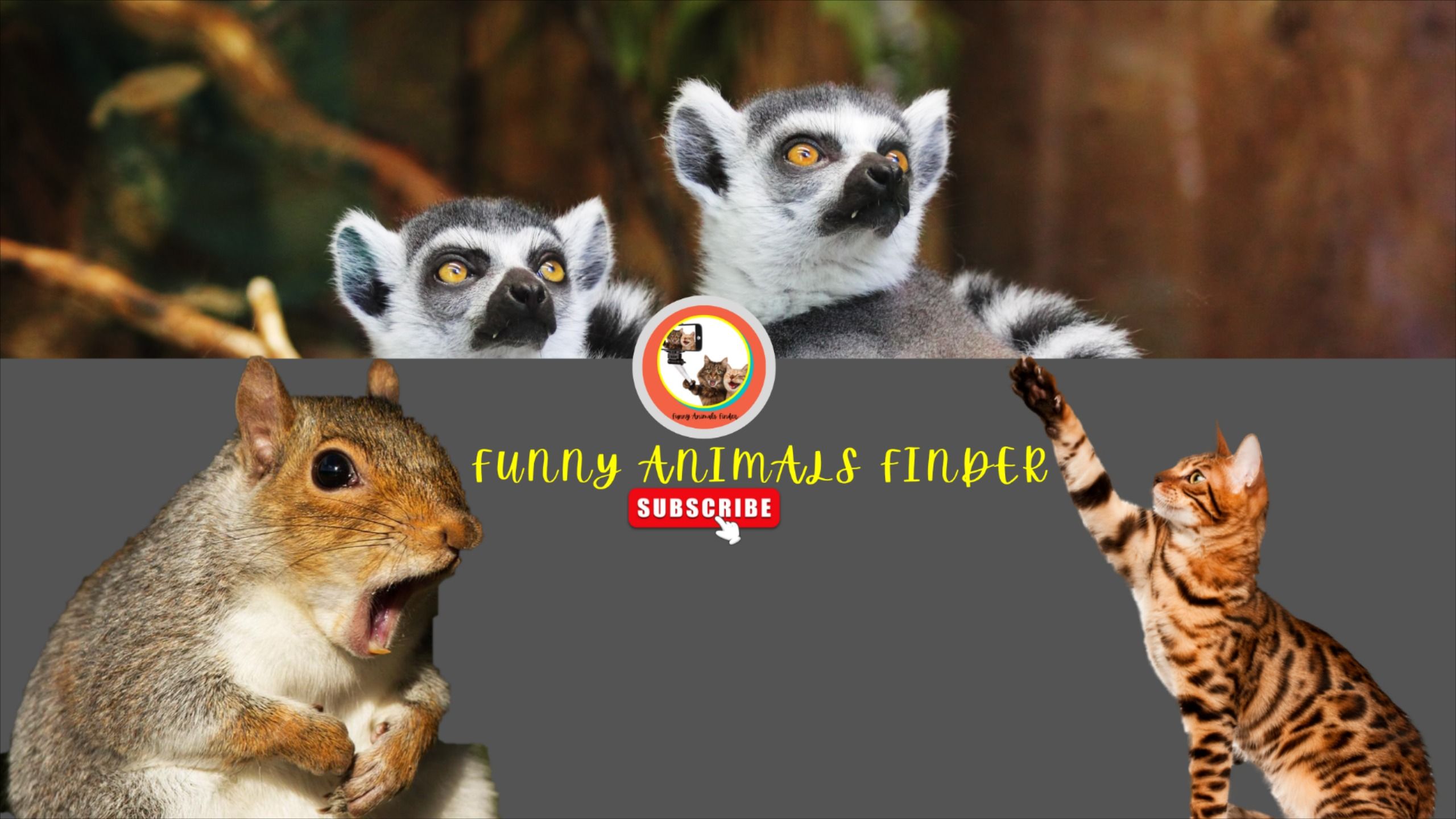 Funny Memes About Animals Images And Photos Finder