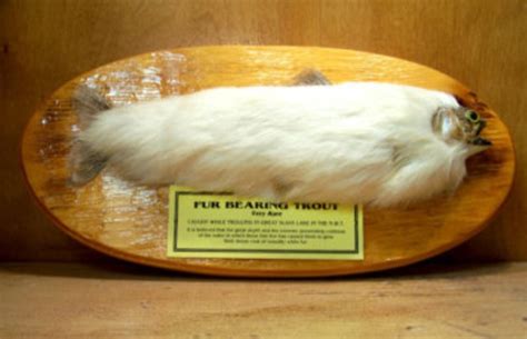 Fur Bearing Trout The World Of Kitsch