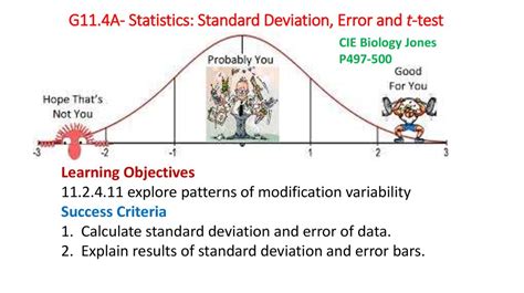 G11 4A Statistics Standard Deviation Error And T Test