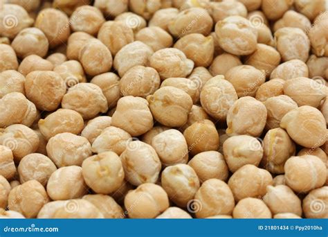 Garbanzo Bean Chickpea