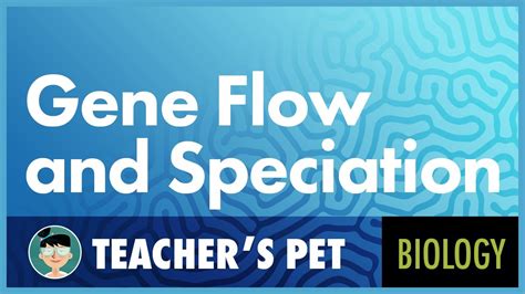 Gene Flow And Speciation Youtube Gene Flow And Speciation Youtube