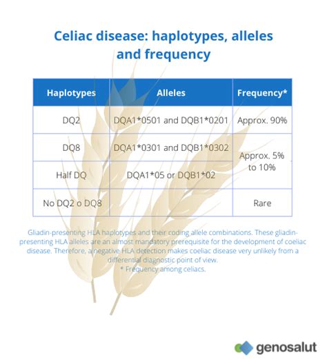 Genetic Test For Celiac Disease Dq2 Dq8 And Half Dq2 Genosalut