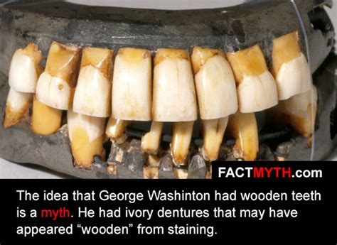 George Washington Teeth Myth