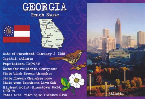 Georgia State Facts Postcard