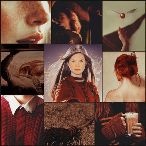 Ginevra Molly: The Charm and Charisma of a Timeless Name