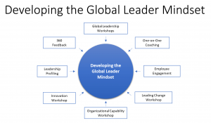 5 Tips Global Leadership
