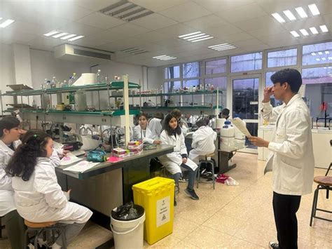 5 Global Teaching Labs Tips