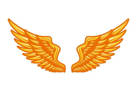 Gold Wings Vector Illustration 20542691 Vector Art At Vecteezy