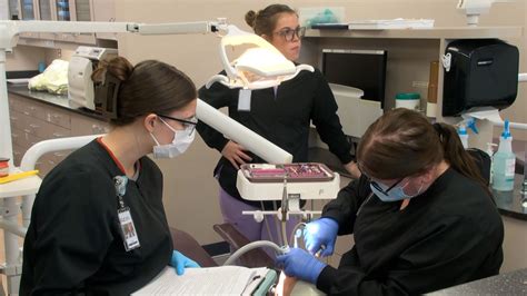 Golden Apple New Dental Hygiene Program Coming To Central Lakes College