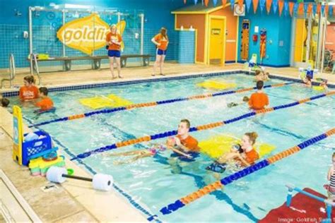 Goldfish Swim Birmingham Michigan: Best Spots to Watch and Care