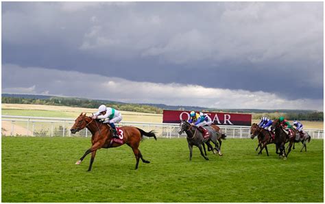 Goodwood Results Fast Results From Glorious Goodwood 2021 Paddy Power News