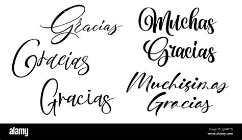 Gracias Vector Text In Spanish Thank You Lettering Calligraphy Vector