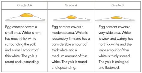 Grade Aa Vs Grade A Eggs What S The Difference