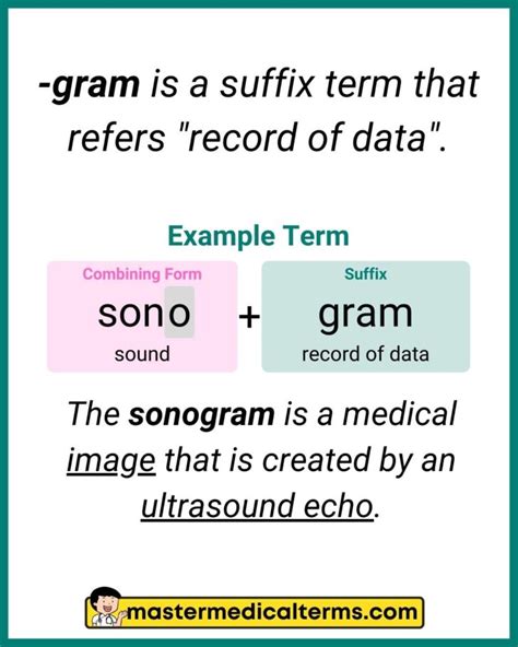 5 Gram Medical Terms