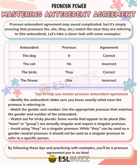 Grammar Pronoun Antecedent Agreement