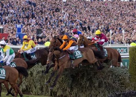 Grand National 2022 Finishing Order And Full Results As Noble Yeats Wins At Aintree Liverpool Echo