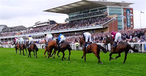 Grand National 2024 Live Updates Latest News And Tips At Aintree Racecourse Liverpool Echo