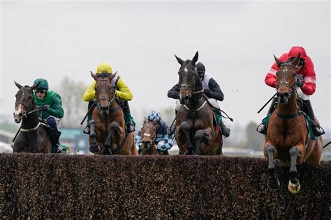 Grand National 2024 Tips And Ones To Watch Panda Boy Can Romp Home In