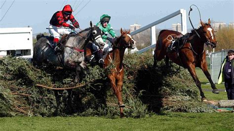 Grand National Hero Bindaree Dies At 30 Nigel Twiston Davies Pays