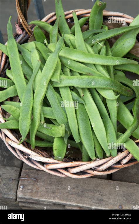 Green Beans For Sale Crossville Tn At Chuck Miranda Blog