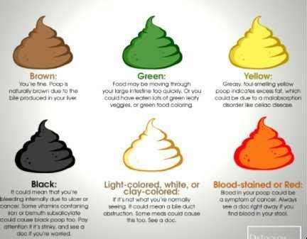 Green Stools During Pregnancy