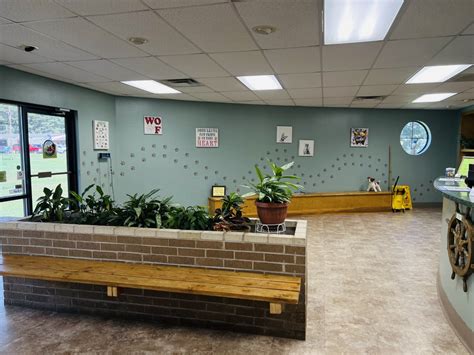 Greenbrier Animal Hospital Tour Vet Clinic In Greenbrier Ar 72058