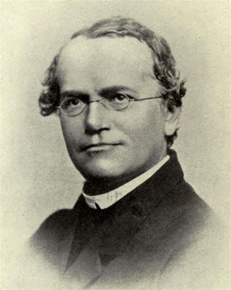 Gregor Mendel Biography Experiments Facts Britannica
