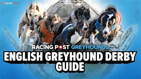Greyhound Derby Final 2025 Runner By Runner Guide Greyhound Racing Racing Post