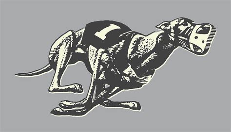 Greyhound Dog Racing 1 Drawing By Csa Images Fine Art America Greyhound Dog Racing 1 Drawing By Csa Images Fine Art America