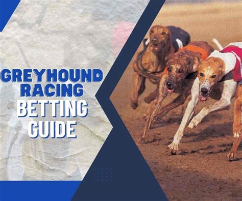 Greyhound Racing Betting Guide Sporting Life Greyhound Racing Betting Guide Sporting Life