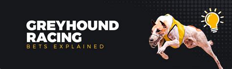 Greyhound Racing Betting Strategy Beginners Guide Mobile Wins Sports