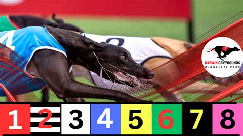 Greyhound Racing Tips Free Australian Greyhound Tips 2024