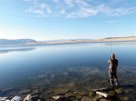 Grid Image Laramie Plains Lakes Four Seasons Anglers Grid Image Laramie Plains Lakes Four Seasons Anglers