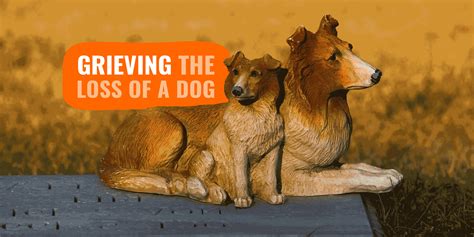 Grieving The Loss Of A Pet Here Are 10 Tips That Will Help