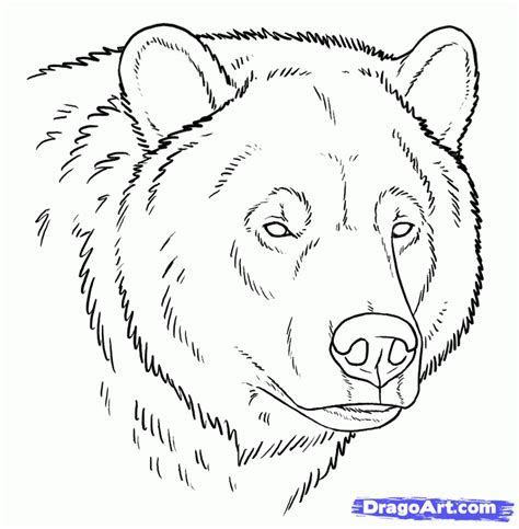 Grizzly Bear Free Drawing Patterns To Trace Grizzly Bear Tattoos