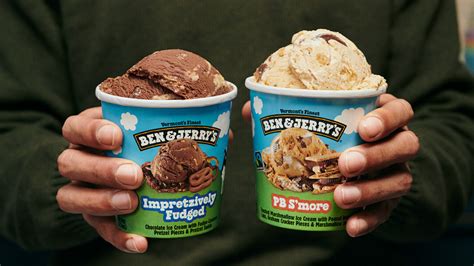 Grocery Outlet Had A 1 99 Sale On Their Ice Cream Pints So I Got Every Non Dairy Flavor There Was