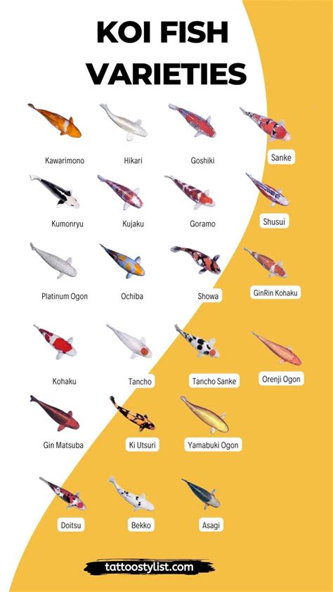 Guide To Koi Fish Tattoo Designs Meaning Color Direction With 80