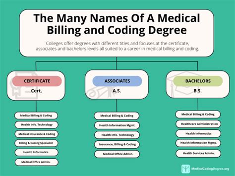 Guide To Online Medical Billing And Coding Degrees 2023