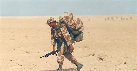 Gulf War At 25 Desert Storm A Milestone For 101St