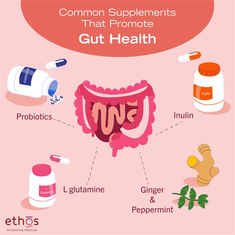Gut Health Vitamins