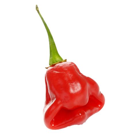 Habanero Peppers 1 Lb Delivery Or Pickup Near Me Instacart