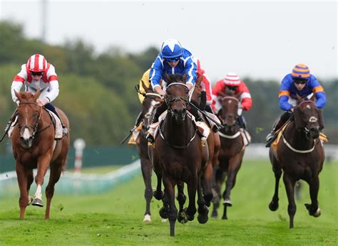 Haggas Aims Pair At Breeders Cup