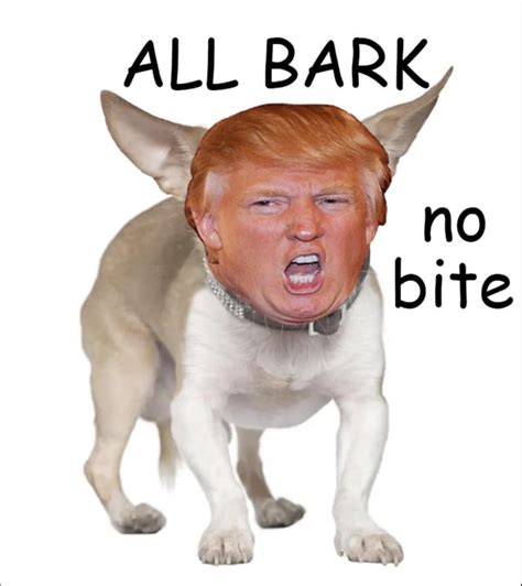 Haha You All Bark No Bite R Victorialies Haha You All Bark No Bite R Victorialies