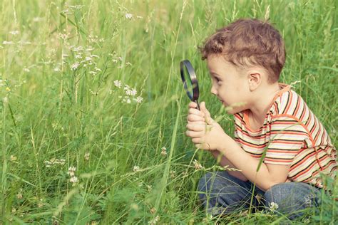 Happy Little Boy Exploring Nature With Magnifying Glass Sensory Happy Little Boy Exploring Nature With Magnifying Glass Sensory