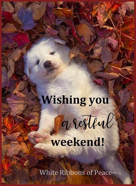 Happy Sunday We Hope You Ve Had A Restful Weekend Set Trash A Week Recycling Bulk And Brush Out By 7 A M On Collection Day Need Assistance Contact Roanoke Solid Waste Management Customer Service