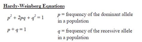 Hardy Weinberg Equations Rossmanapbiomath