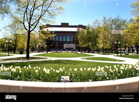Harlan Hatcher Graduate Library And Diag University Of Michigan Stock