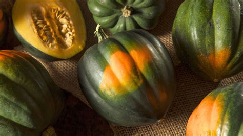Harvesting Acorn Squash How And When To Harvest Acorn Squash Gardening Know How Harvesting Acorn Squash How And When To Harvest Acorn Squash Gardening Know How