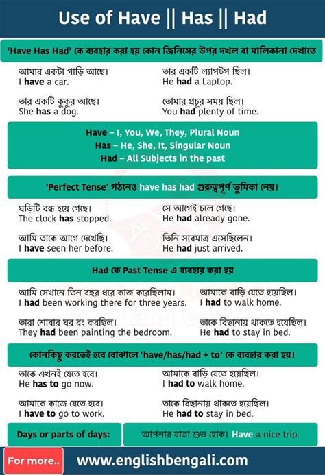 Have Has Had English Grammar In Bengali How To Use Have Has Had